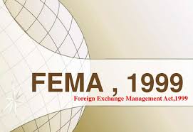 Read more about the article Foreign Liabilities and Assets {FLA} Compliance Under FEMA