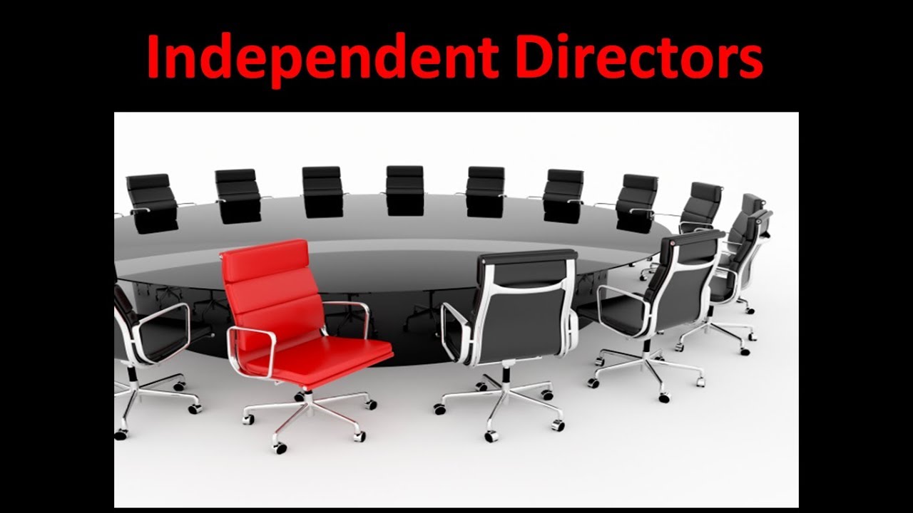 Read more about the article INDEPENDENT DIRECTOR